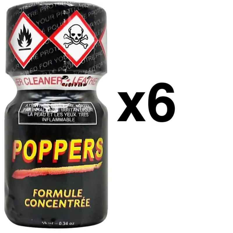 FL Leather Cleaner  8mL x6